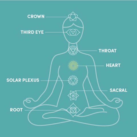 The 7 Chakras for Beginners The 7 Chakras for Beginners