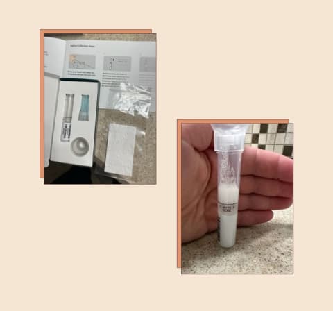 Viome Microbiome Test Viome Microbiome Test