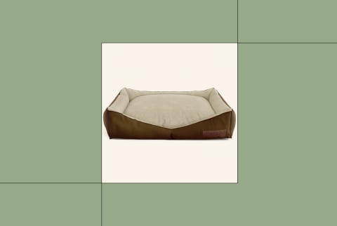 best dog bed for arthritis best dog bed for arthritis