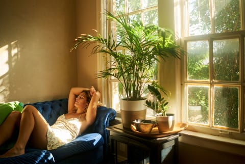 Woman reclines on blue couch in natural light with greenery around